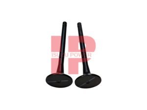 INLET VALVE JE1003011BBB1